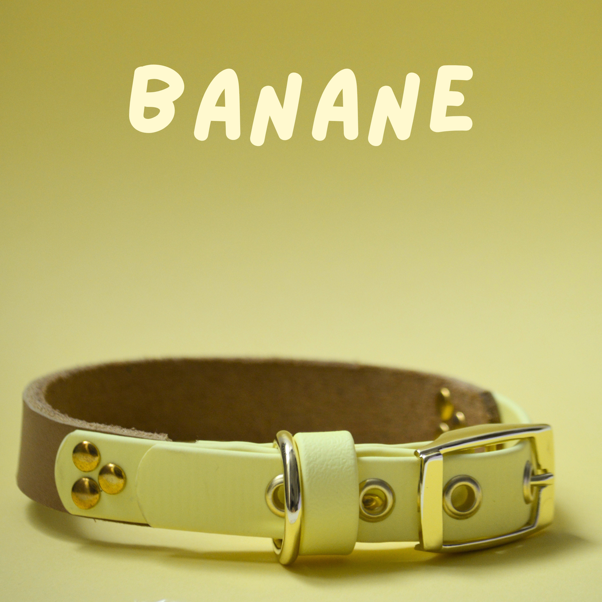 Collier Latte