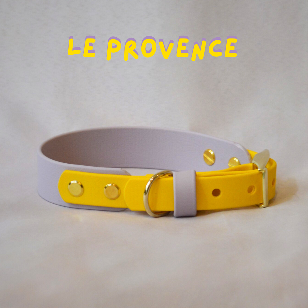 Collier Waterwouf Bigoût