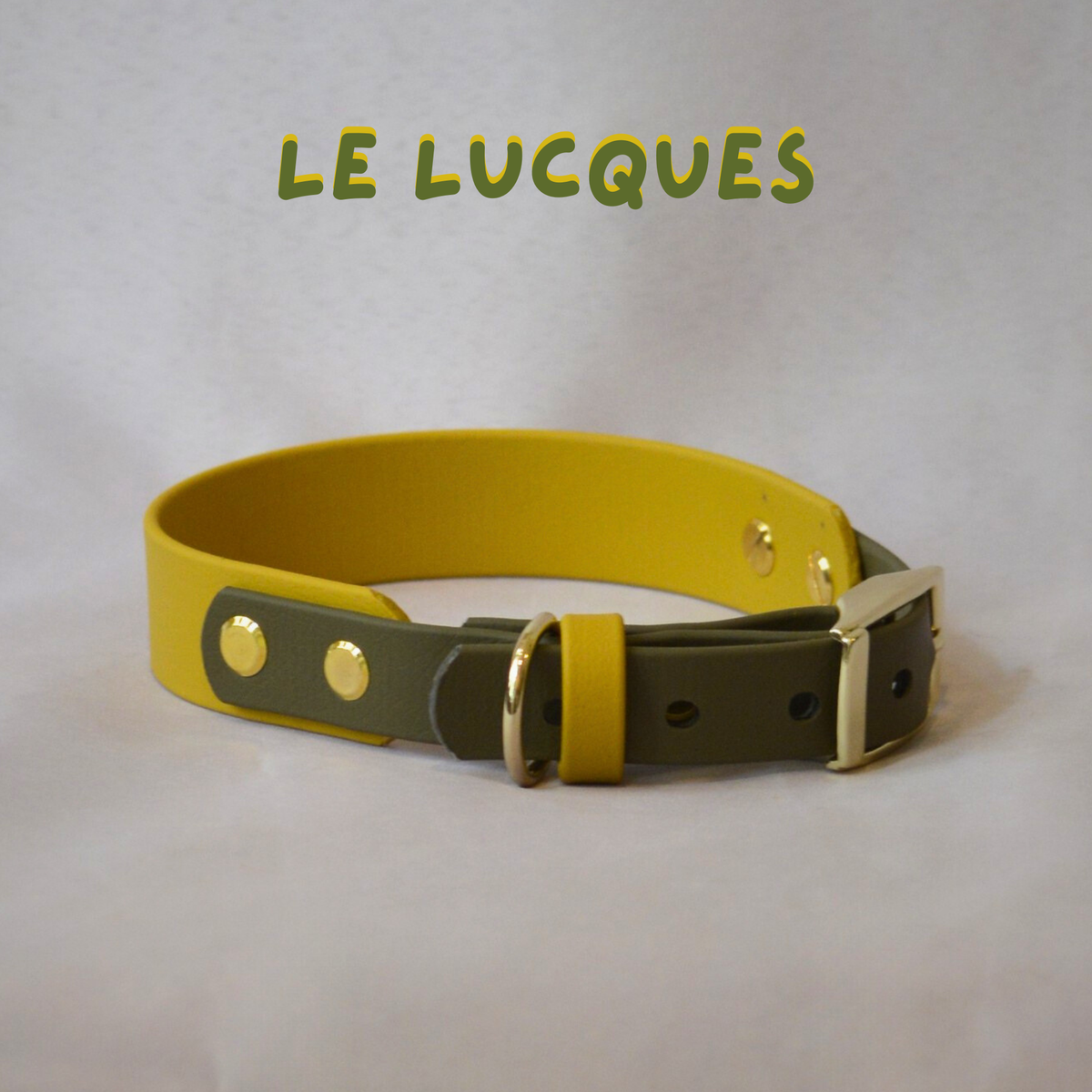 Collier Waterwouf Bigoût