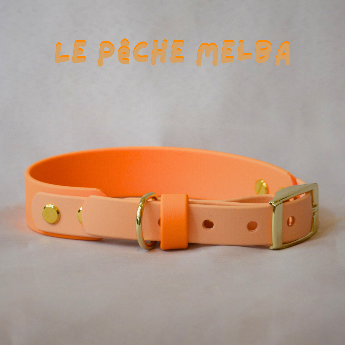 Collier Waterwouf Bigoût