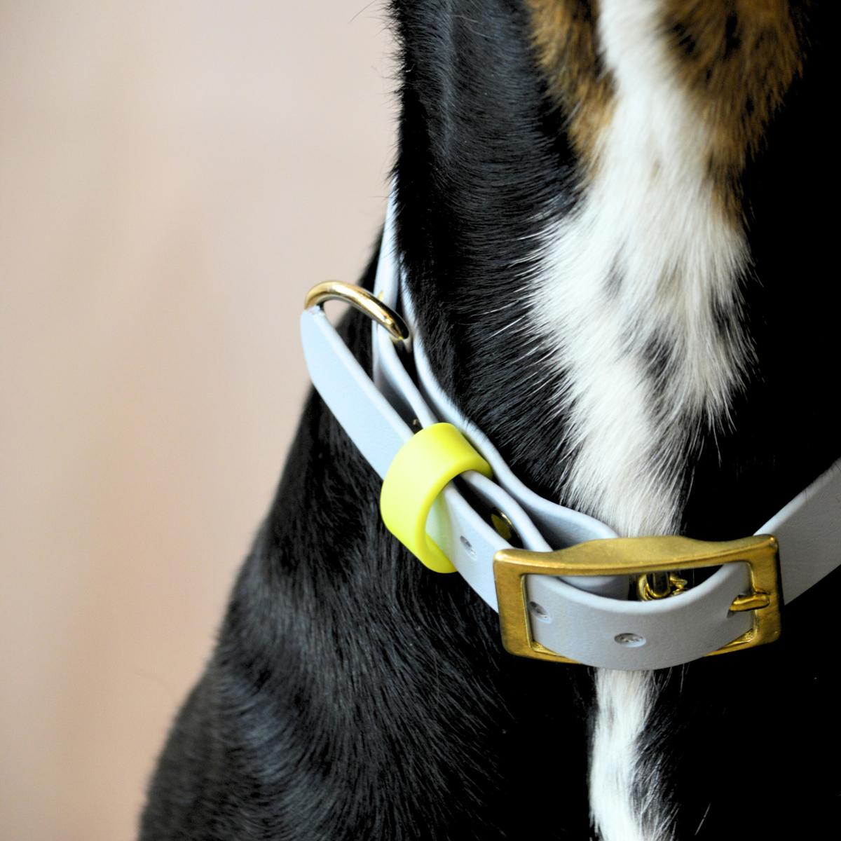 Collier Waterwouf basique