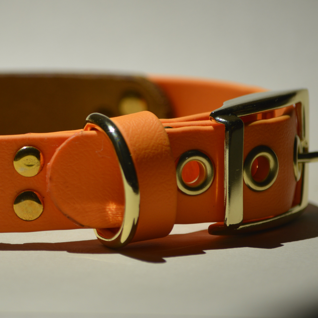 Collier Expresso