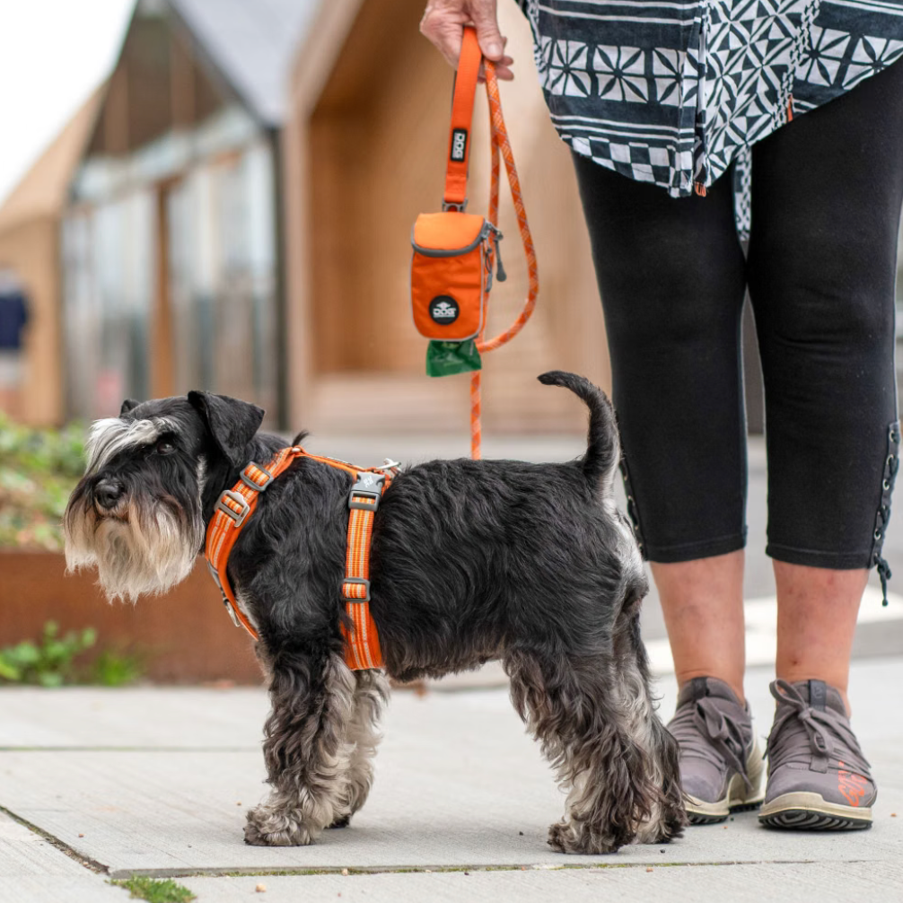 Harnais Comfort Walk Air™  DOG Copenhagen