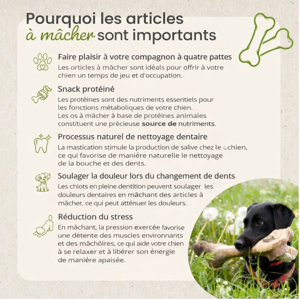 Bâtonnets de cabillaud