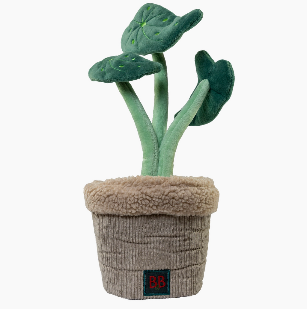 Plante Jouet de fouille