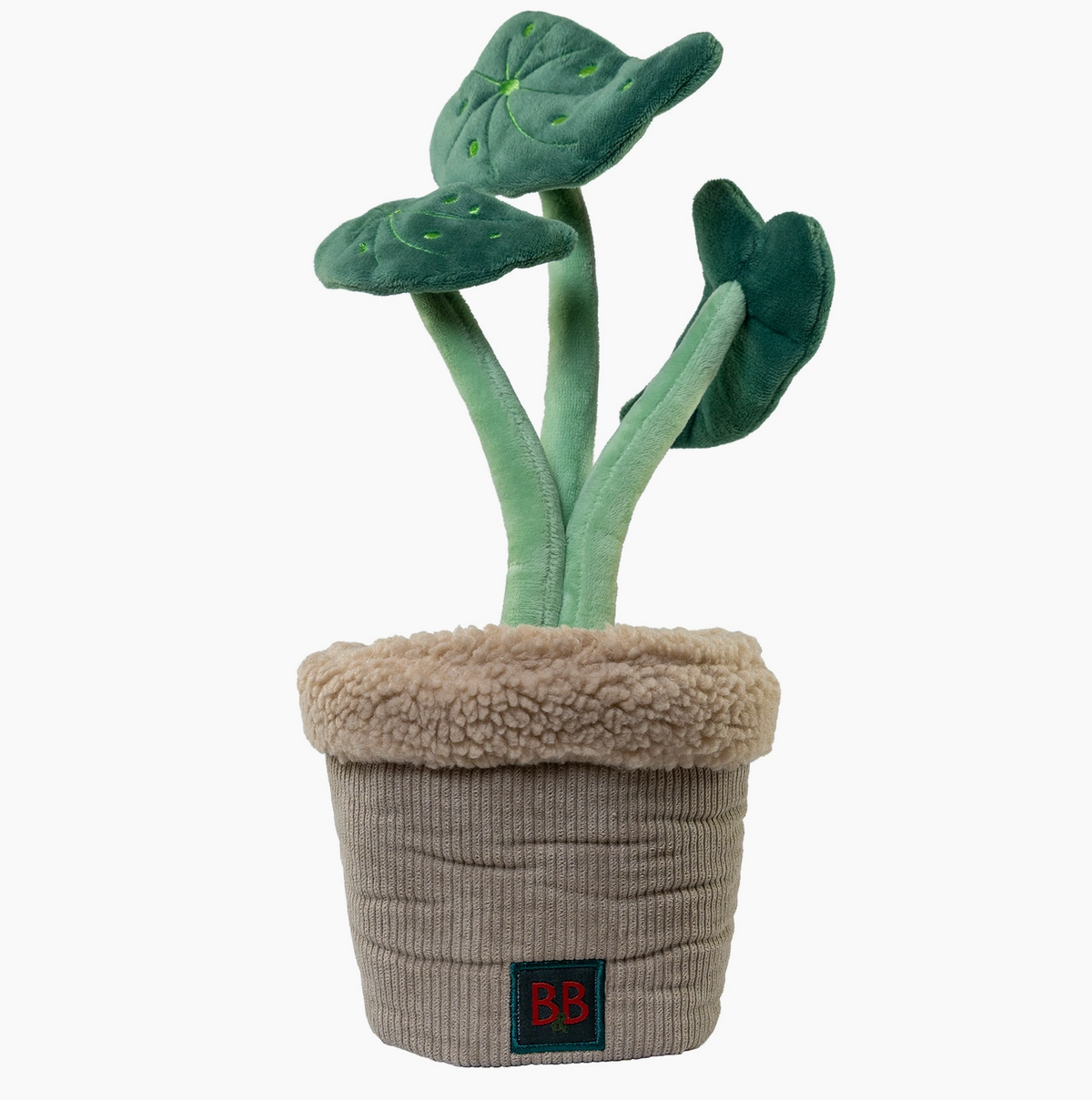 Plante Jouet de fouille