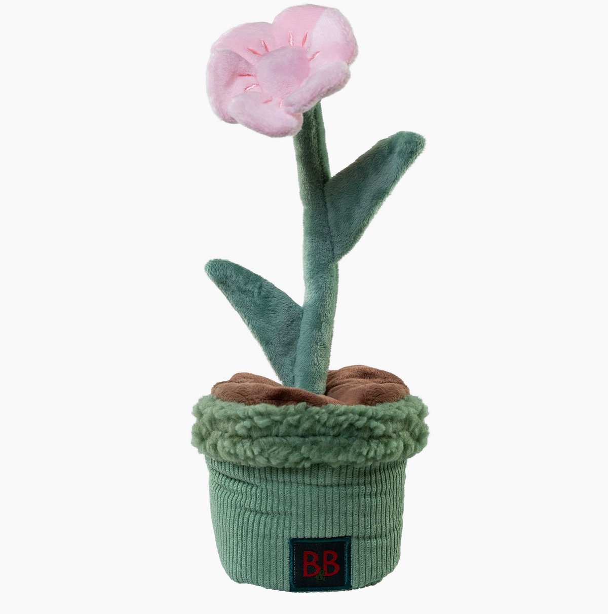 Plante Jouet de fouille