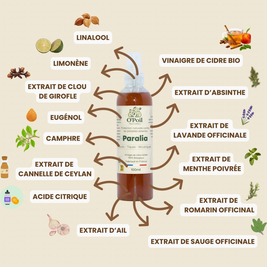 Spray Antiparasitaire Naturel 🇫🇷