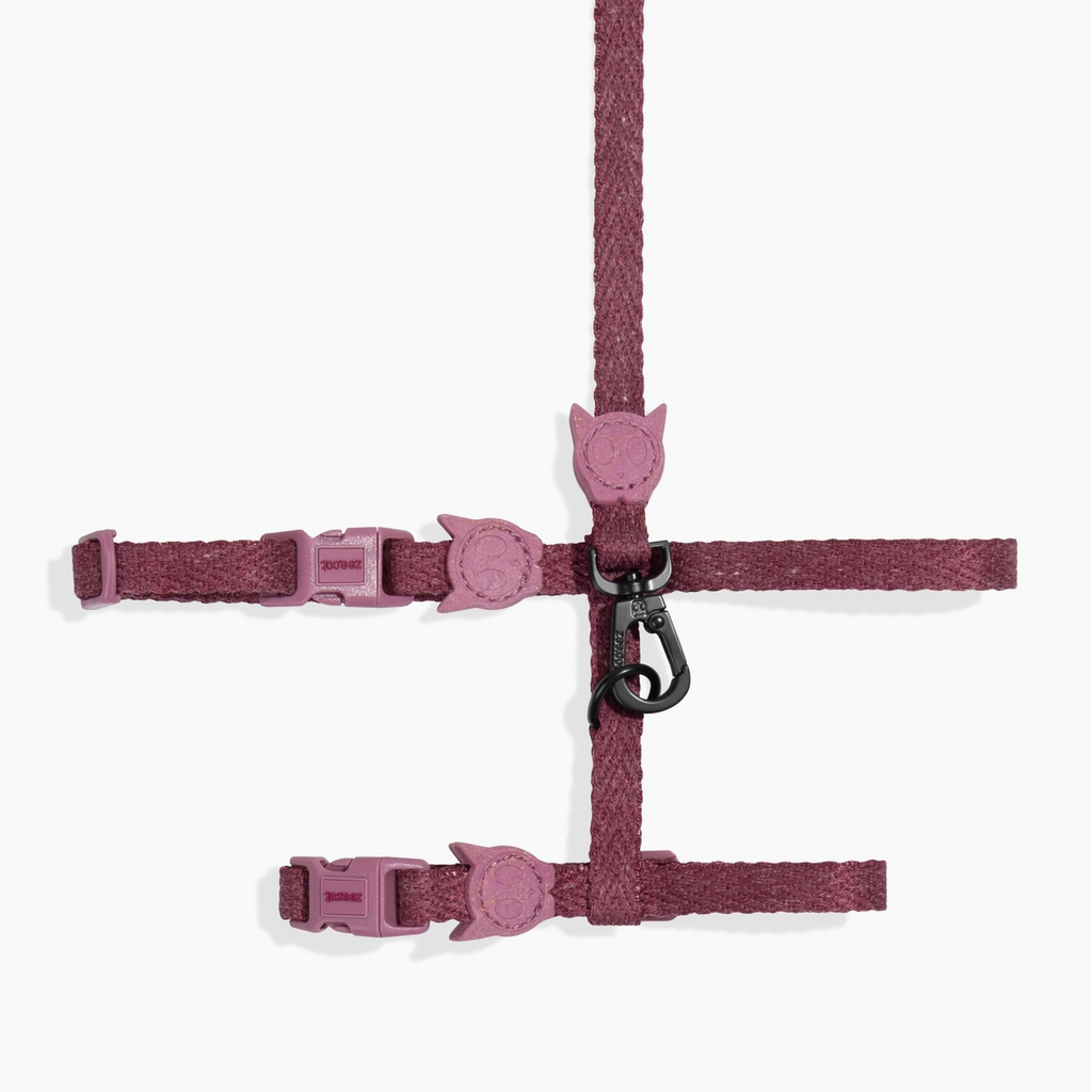 Set Harnais & Laisse pour Chat