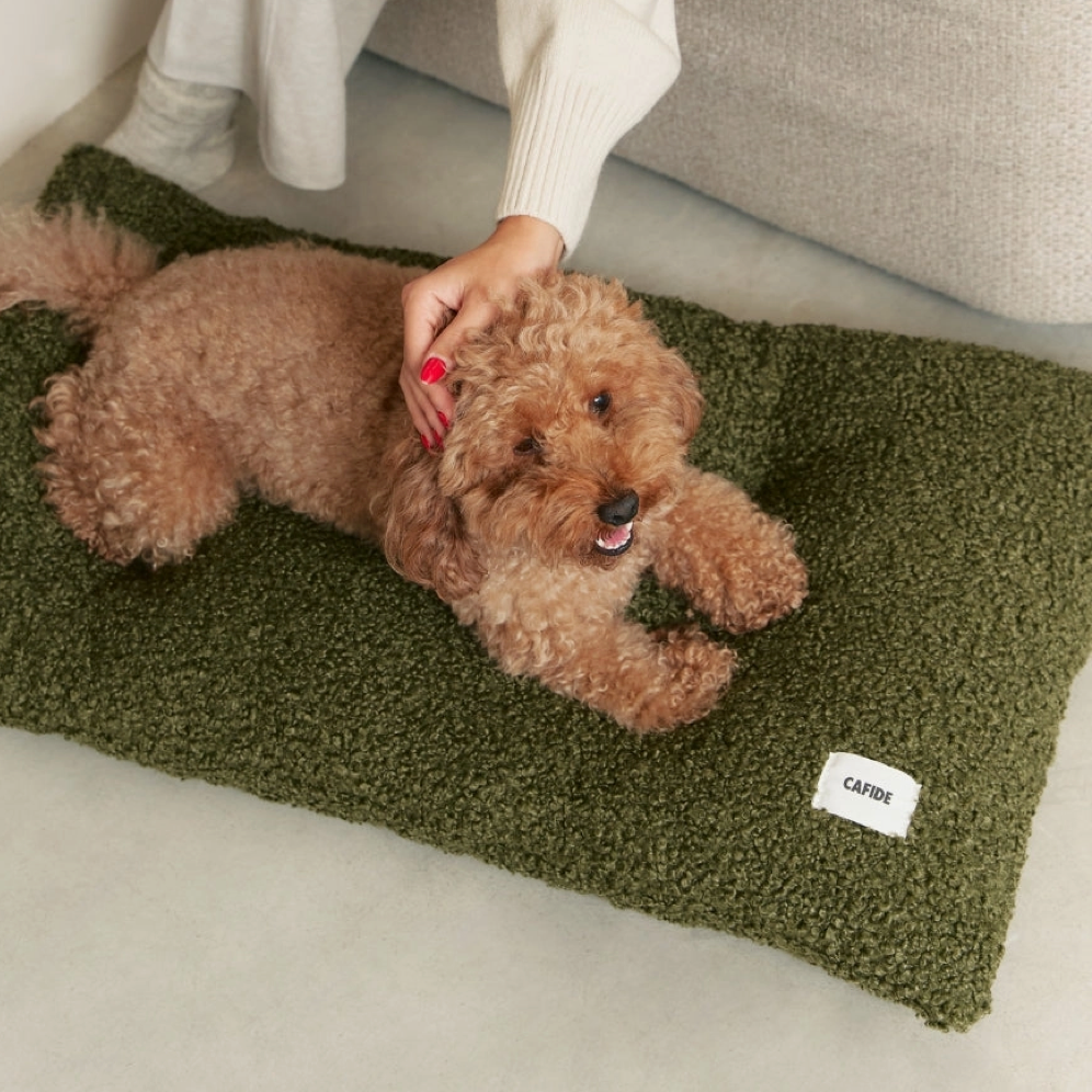 Coussin pour petit chien