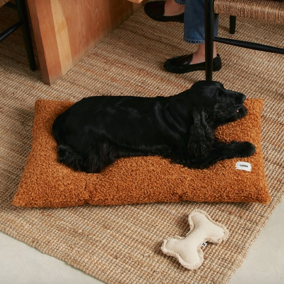 Coussin pour petit chien