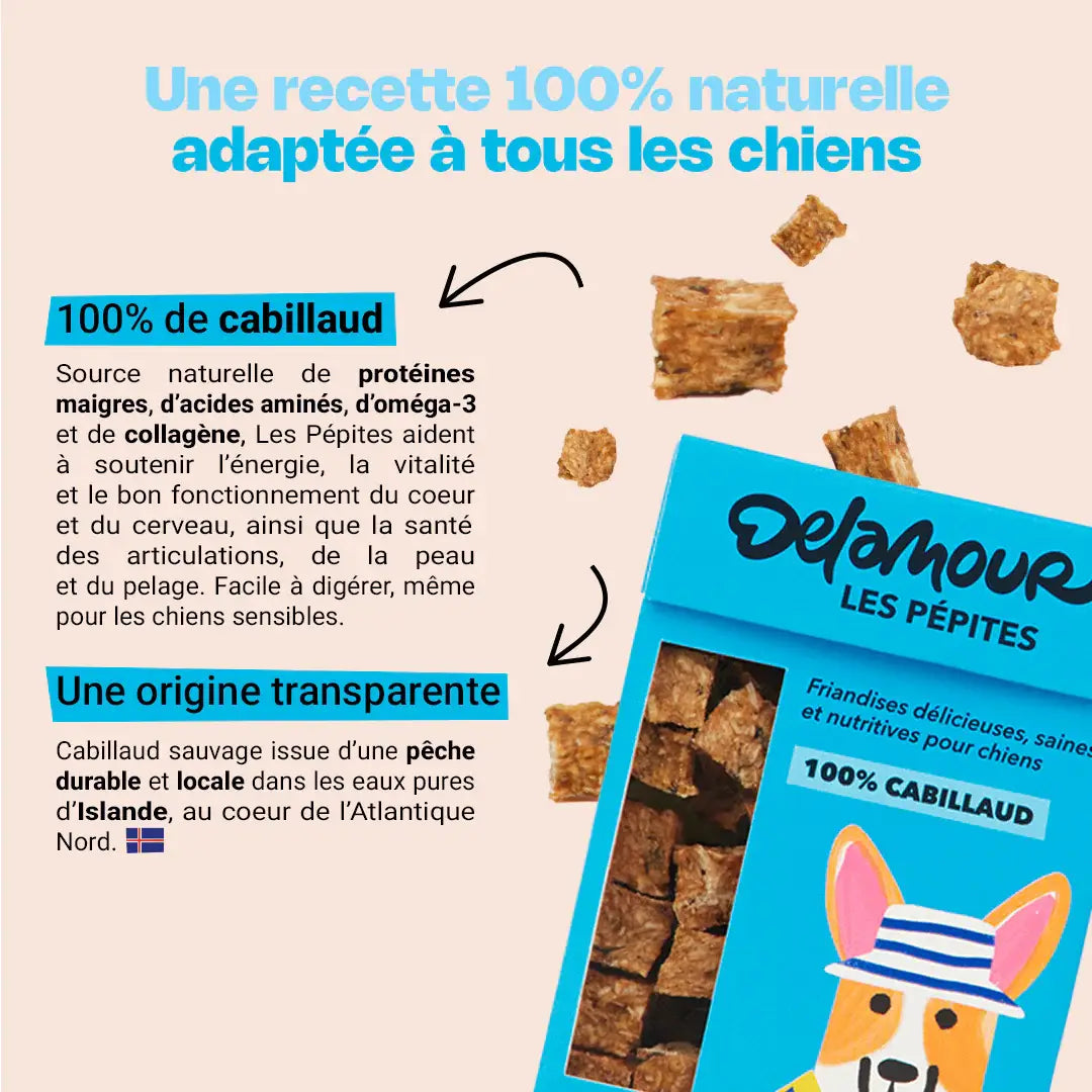 Pépites Delamour paris 🇫🇷