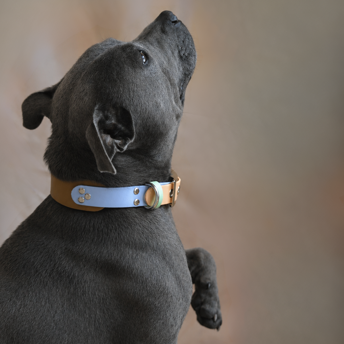 Collier Latté triade